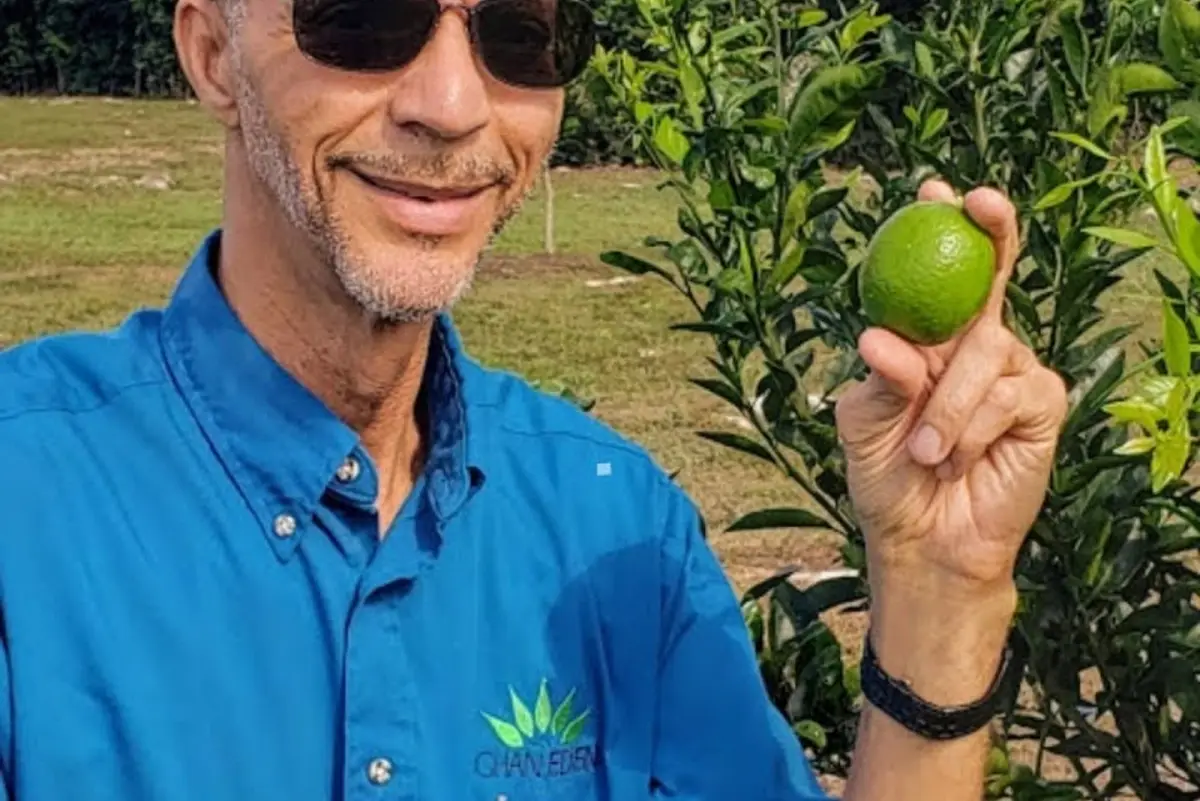 Tropical fruit and plants growing on the seasonal Ghan Eden farm