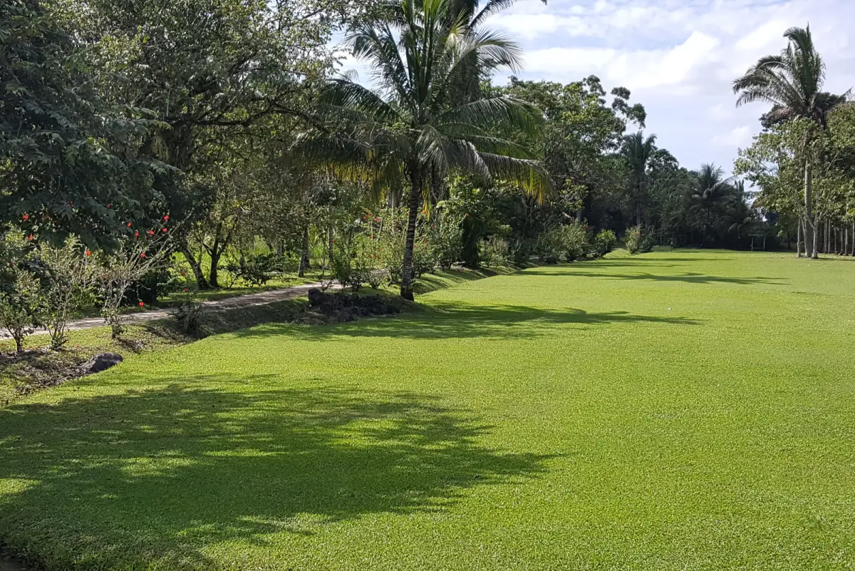 A broad lawn and tropical garden at Ghan Eden