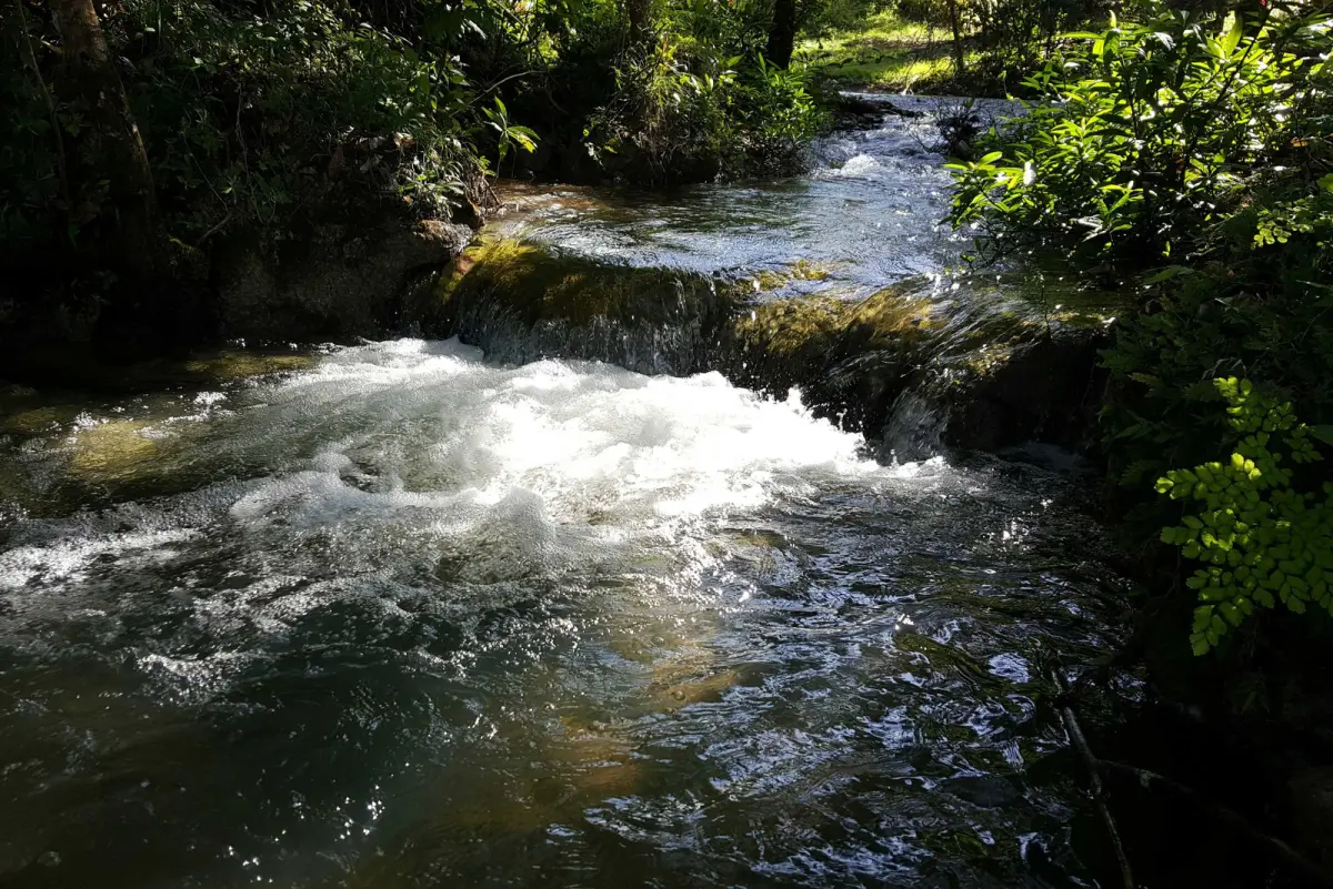 Water rushing over a small jungle waterfall